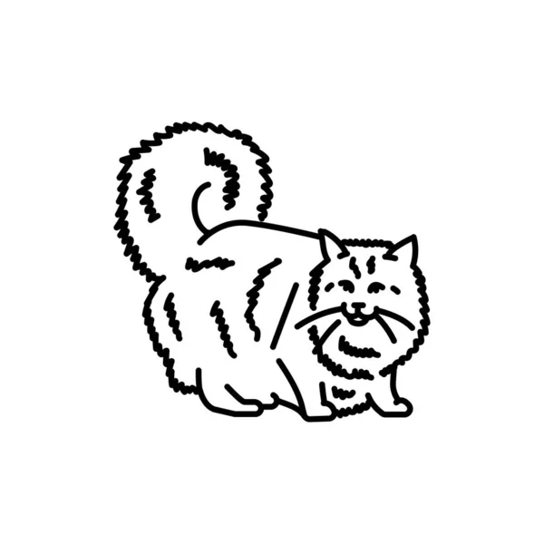 Norweski Kot Czarny Biały Wektor Ilustracja — Wektor stockowy