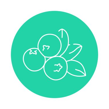 Yabanmersini renkli çizgi ikonu. Web sayfası için resim grafiği