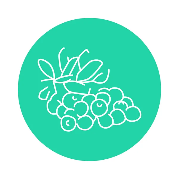 クランベリー植物カラーラインアイコン ウェブページのピクトグラム — ストックベクタ