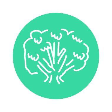 Kök ağacı renk çizgisi simgesi. Web sayfası için resim grafiği