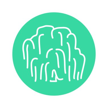 Söğüt ağacı renk çizgisi simgesi. Web sayfası için resim grafiği