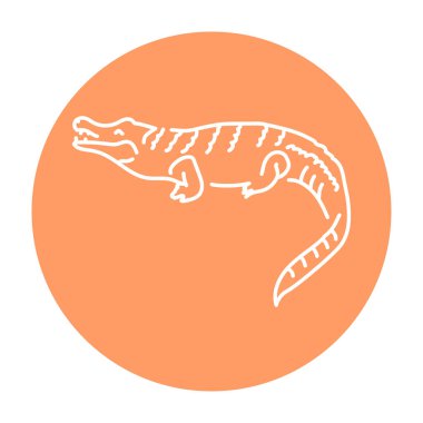 Timsah renk çizgisi çizimi