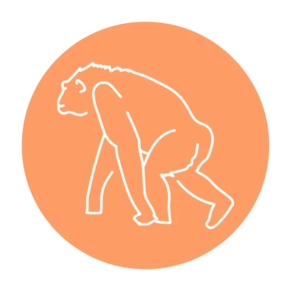 Şempanze Renk Çizgisi Çizimi — Stok Vektör