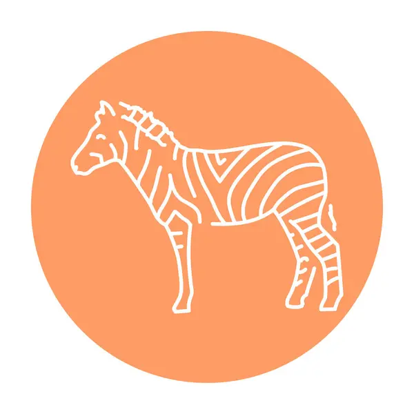 Zebra Färg Linje Illustration — Stock vektor