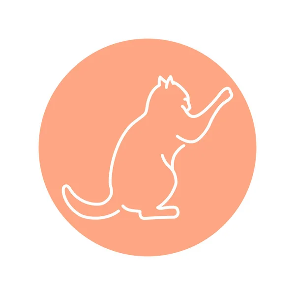 恶猫与彩线图标作斗争 网页的象形文字 — 图库矢量图片