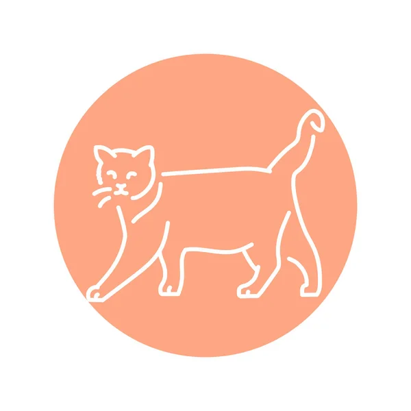 快乐的猫站在彩色线条图标 网页的象形文字 — 图库矢量图片