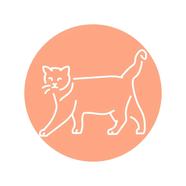 Happy Cat Sitting Color Line Icon Pictogram Web Page Mobile Stock