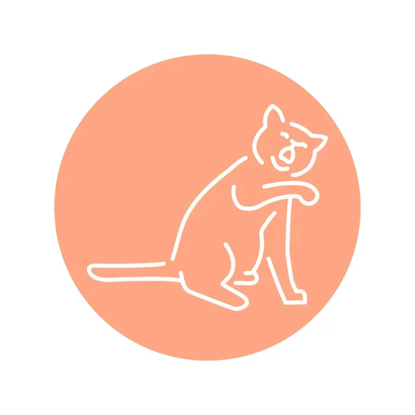 玩坐着的猫彩线图标 网页的象形文字 — 图库矢量图片