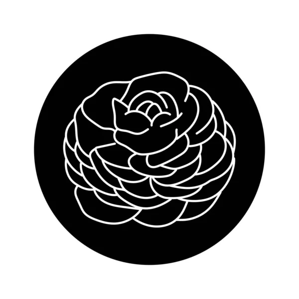 Ranunculus Flor Línea Negra — Vector de stock