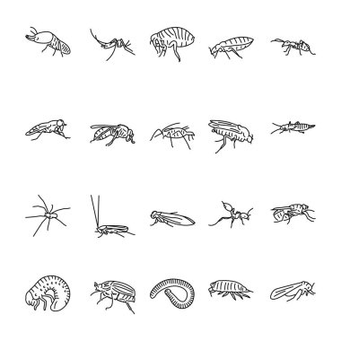 Zararlı böcekler siyah çizgi simgesi. 