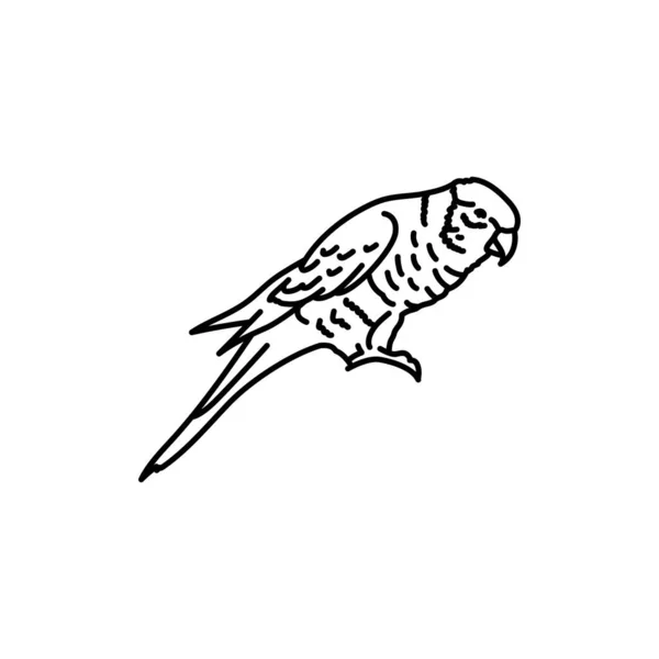 五彩斑斓的洛里凯鸟类黑线图标 — 图库矢量图片