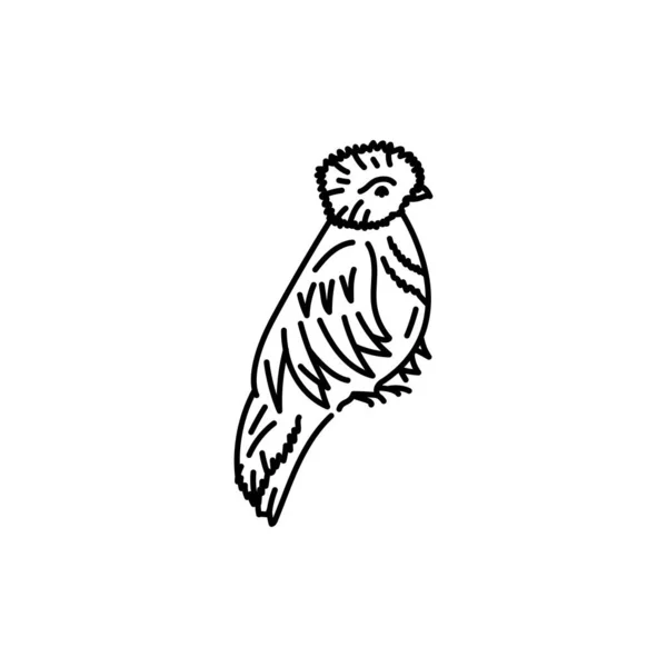ケツァルト熱帯鳥ブラックラインアイコン — ストックベクタ