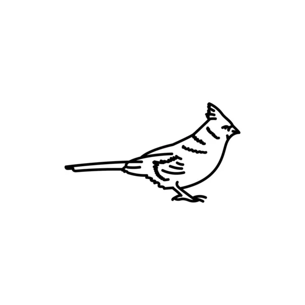 Roter Kardinalvogel Schwarze Linie Symbol — Stockvektor