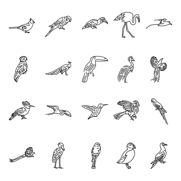 Иконки Экзотических Птиц — стоковый вектор