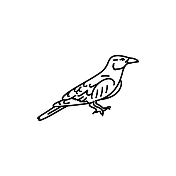 Coracias Garrulus Vogel Vogel Schwarze Linie Symbol — Stockvektor