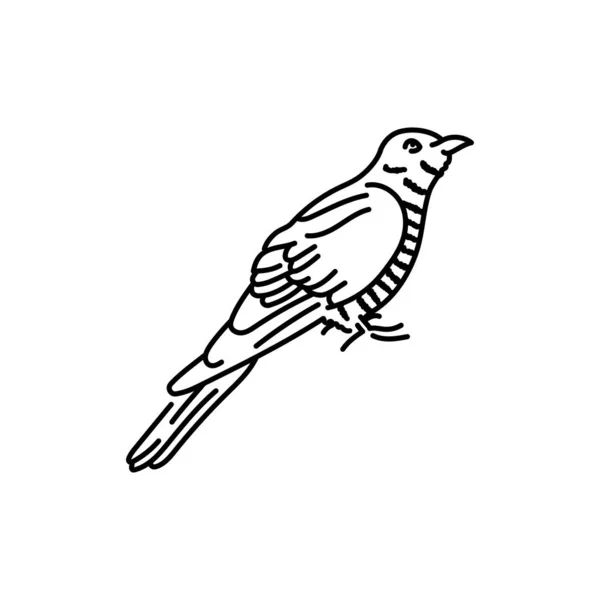 Cuco Pájaro Línea Negra Icono — Archivo Imágenes Vectoriales