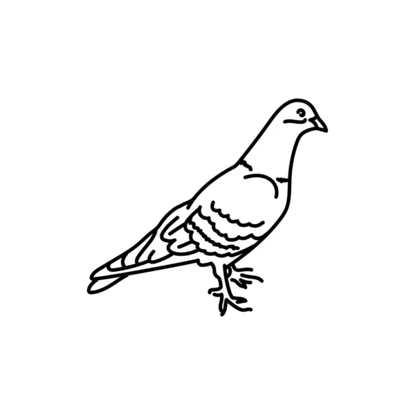 Colombe Oiseau Ligne Noire Icône — Image vectorielle