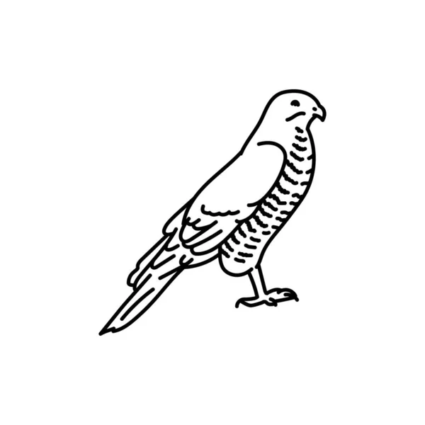 Hawk Pájaro Negro Icono Línea — Archivo Imágenes Vectoriales