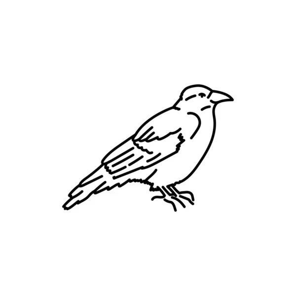 Cuervo Pájaro Línea Negra Icono — Archivo Imágenes Vectoriales