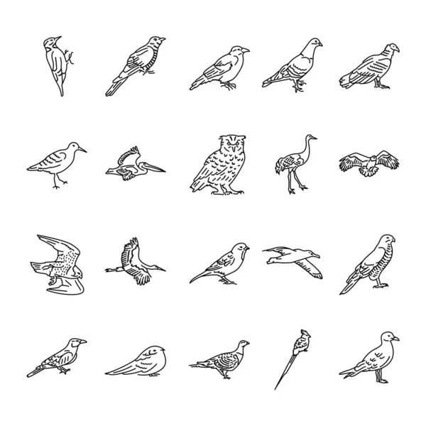 Uccelli Linea Nera Set Icone — Vettoriale Stock