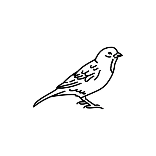 Mus Vogel Zwarte Lijn Pictogram — Stockvector