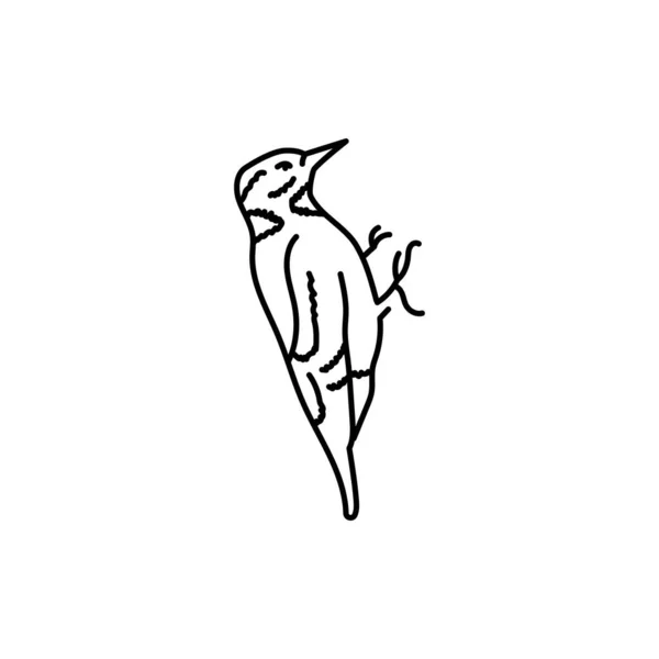 Εικόνα Μαύρης Γραμμής Για Πουλιά Τρυποκάρυδου — Διανυσματικό Αρχείο