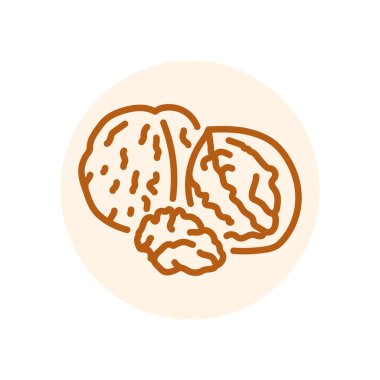 Ceviz rengi siyah çizgi ikonu. Doğal organik süper yiyecek..