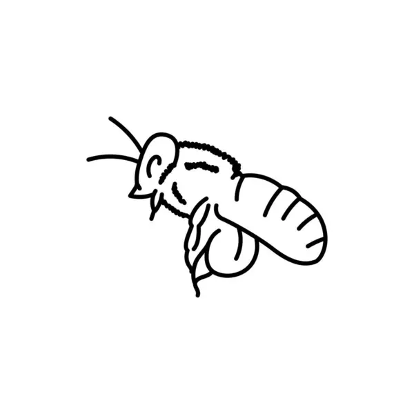 Bijen Zwarte Lijn Pictogram — Stockvector