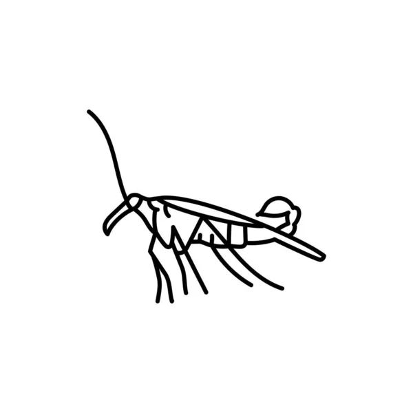 Icono Línea Negra Scorpionfly — Vector de stock