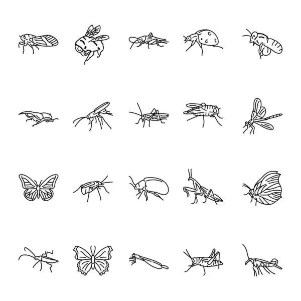 Insects Black Line Icons Set — Stock Vector