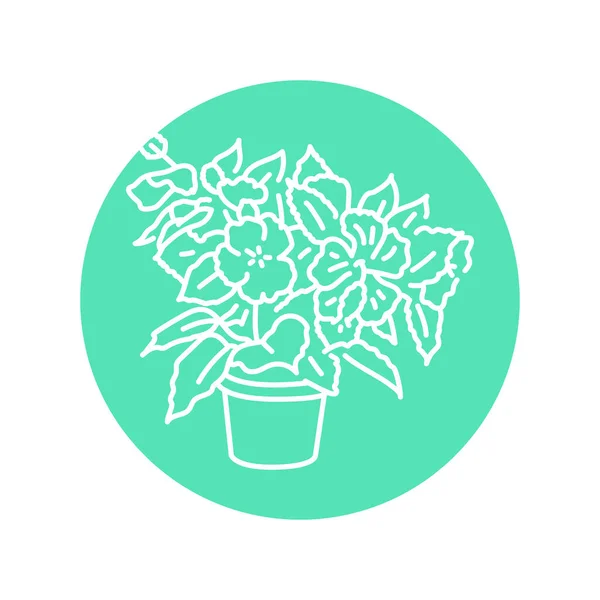 Hibiskus Zimmerpflanze Schwarze Linie Symbol Dekorative Zimmerpflanze — Stockvektor