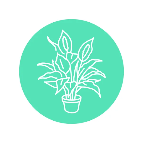 Spathiphyllum Houseplant Black Line Icon Indoor Decorative Plant — Stock Vector