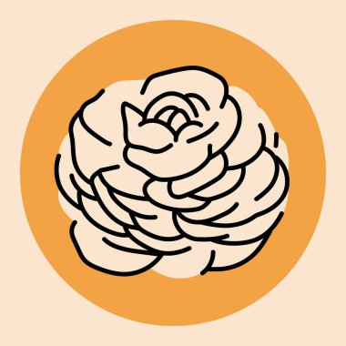 Ranunculus çiçek siyah çizgisi 