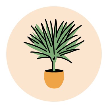 Dracaena ev bitkisi siyah çizgi ikonu. İç mekan dekoratif bitki.