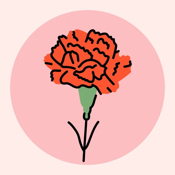 Розовый Dianthus Caryophyllus Гвоздика Гвоздика Розовый Виды Dianthus Черная Линия — стоковый вектор