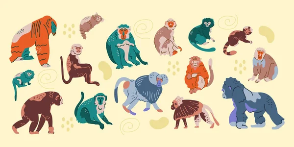 Ručně Kreslené Opice Barevný Koncept Dětské Postavy — Stockový vektor