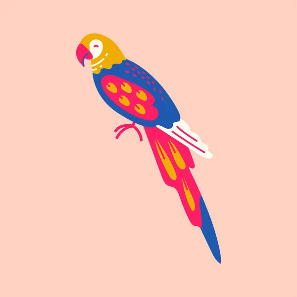 Element Koloru Papugi Ara Streszczenie Egzotyczne Zwierzę — Wektor stockowy