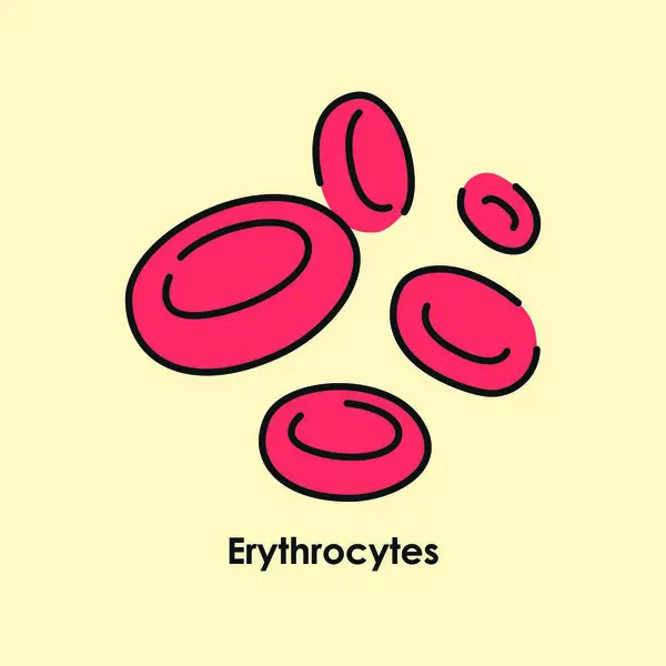 Ícone Cor Dos Eritrócitos Glóbulos Vermelhos Nos Vasos Sanguíneos — Vetor de Stock