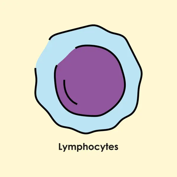 Lymphocytes Color Icon White Blood Cells Blood Vessels — Stock Vector