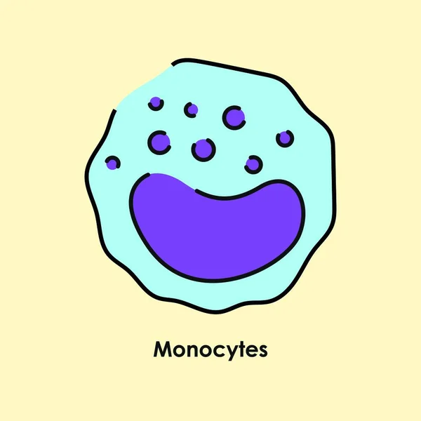 Monocytes Color Icon White Blood Cells Blood Vessels — Stock Vector