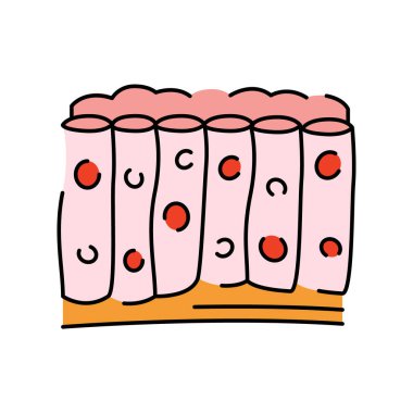 Doku rengi simgesi. Organizma örgütü.