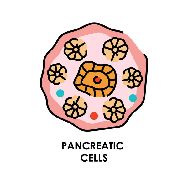 Pancreatic Cell Color Line Icon Microorganisms Microbes Bacteria — Stock Vector