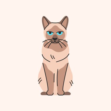 Siyam kedisi renk elementi oturuyor. Çizgi film sevimli hayvan. 