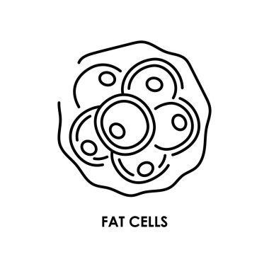 Yağ hücrelerinin renk çizgisi simgesi. Mikroorganizmalar, bakteriler.. 