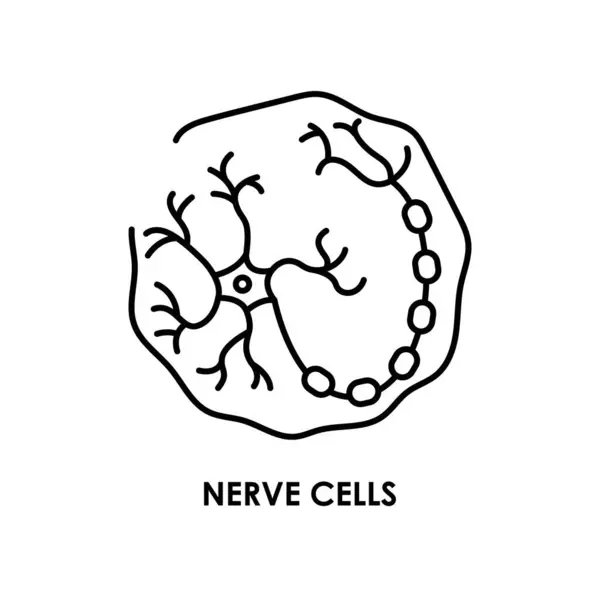 Cérebro Neurônio Ícone Linha Cor Célula Microrganismos Micróbios Bactérias — Vetor de Stock