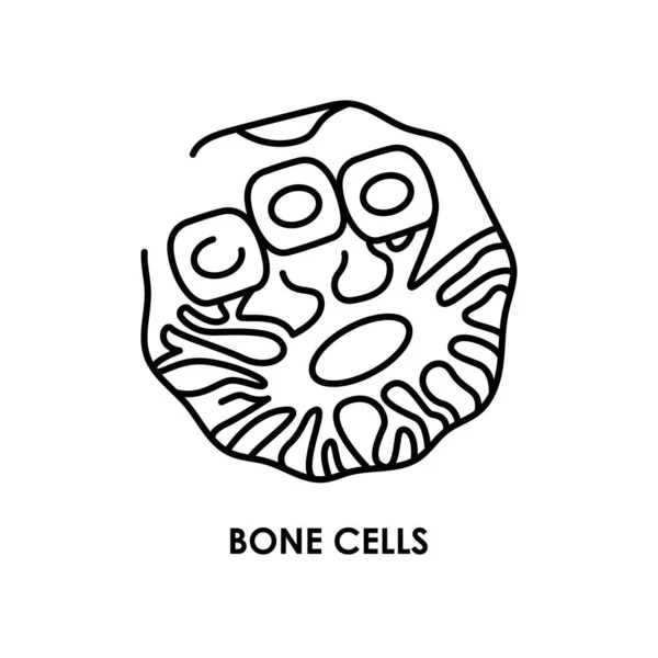 Иконка Цвета Костной Клетки Человека Микроорганизмы Микробов Бактерий — стоковый вектор