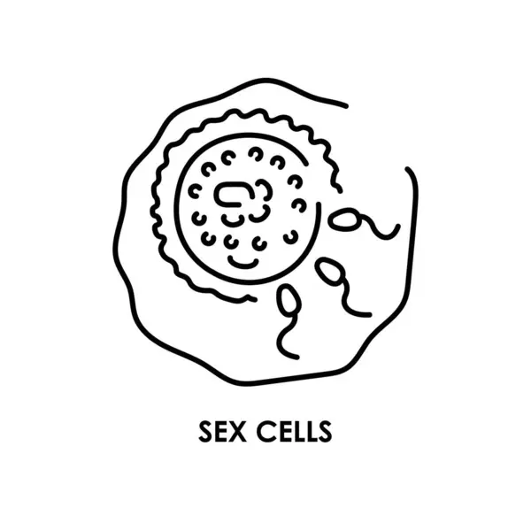 Células Sexuales Línea Color Icono Microorganismos Microbios Bacterias — Archivo Imágenes Vectoriales