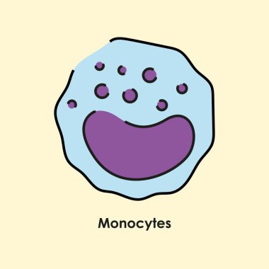 Monositler renk simgesi. Kan damarlarında beyaz kan hücreleri var..