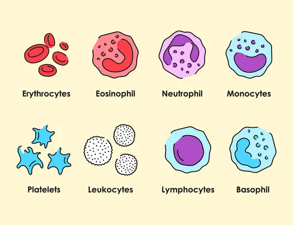 Blood Cells Color Icons Set White Blood Cells Erythrocytes Platelets — Stock Vector