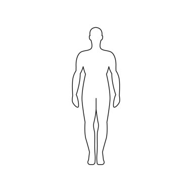 Erkeklerin vücut rengi ikonu. Organizma örgütü.